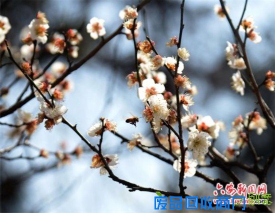 金寨美女摄影师8年拍摄数万张家乡山水风光片