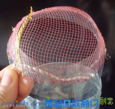 已补发成品照片-用可乐瓶做孔雀鱼繁殖盒-自制