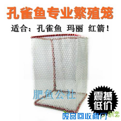 孔雀鱼繁殖盒隔离盒_孔雀鱼繁殖隔离网_孔雀鱼繁殖