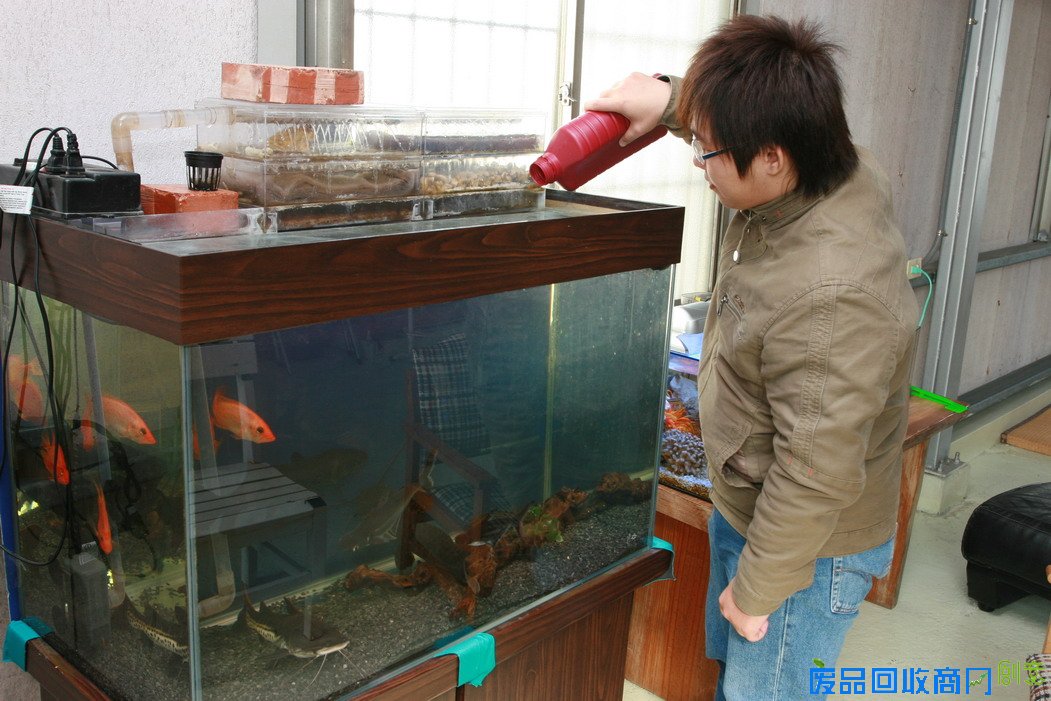自制孔雀鱼繁殖盒图_自制孔雀鱼繁殖箱图_孔雀