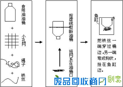孔雀鱼基因探究实验