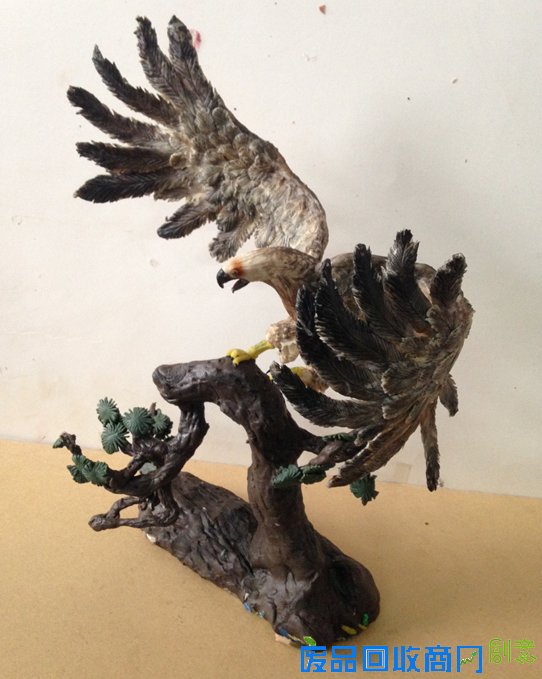 雄鹰展翅