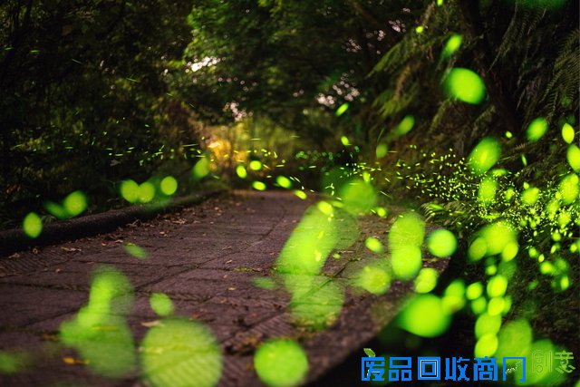 原来平面照片的立体感是这样来的