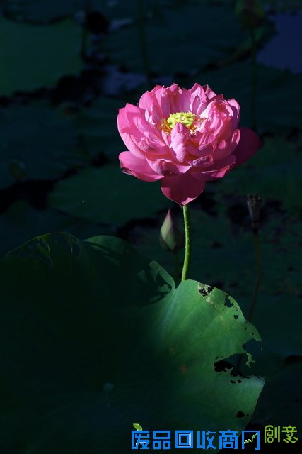 原来平面照片的立体感是这样来的