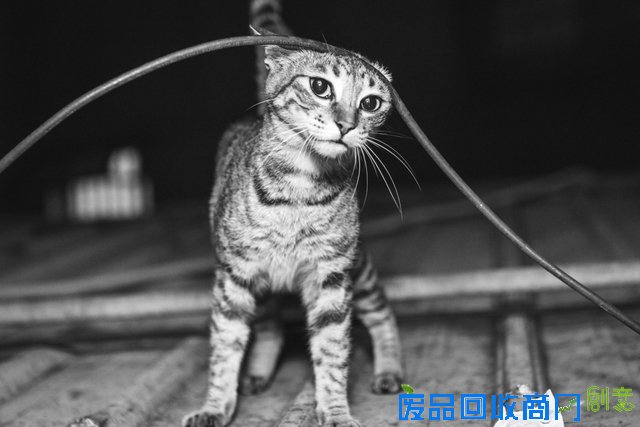 原来平面照片的立体感是这样来的