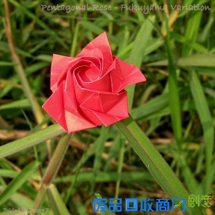 教师节贺卡手工折纸玫瑰花制作图解_新东方网