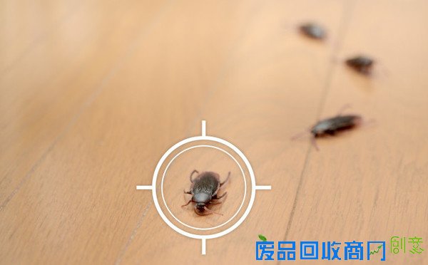 简单切割空瓶和DIY个性吊灯的方法
