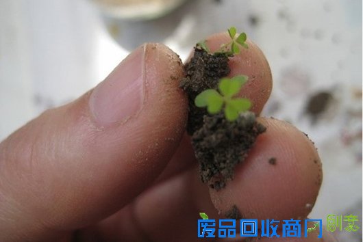http://www.fphs5.com/chuangyi/upimg/allimg/160410/0232423G8_0.jpg