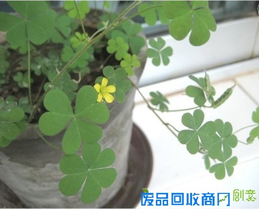 http://www.fphs5.com/chuangyi/upimg/allimg/160410/023543KL_0.jpg