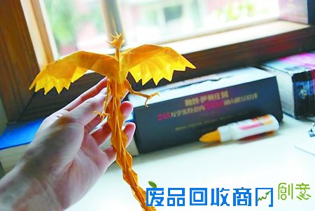 金色翼龙