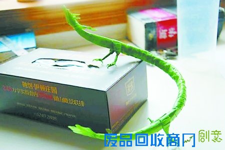 重庆小伙制作的中国龙