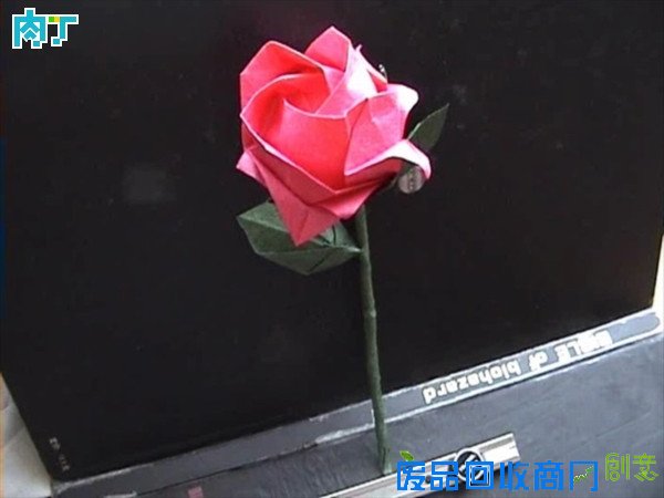 50种纸玫瑰的折法之带枝叶纸玫瑰花折纸方法图解 玫瑰花叶折法╭★肉丁网