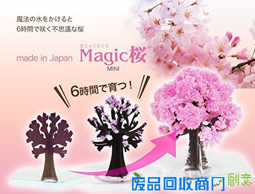 樱花季，不出门也有樱花陪伴你身边