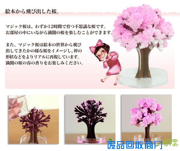 樱花季，不出门也有樱花陪伴你身边