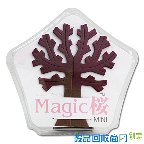 樱花季，不出门也有樱花陪伴你身边