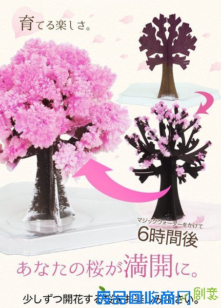 樱花季，不出门也有樱花陪伴你身边