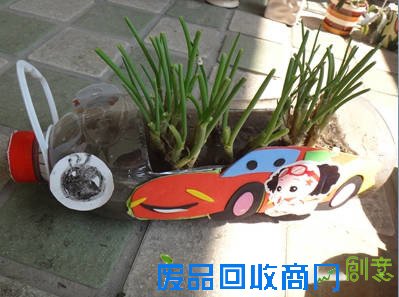 早知道塑料瓶养花种菜这么爽，还买什么花盆呢！