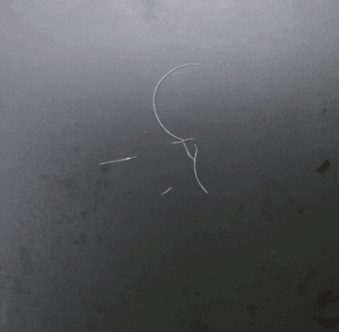 一个5分钱的塑料瓶值30块?看完后震惊了!