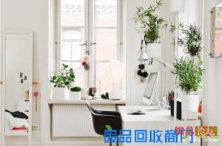 妙用盆栽摆出美居好风水