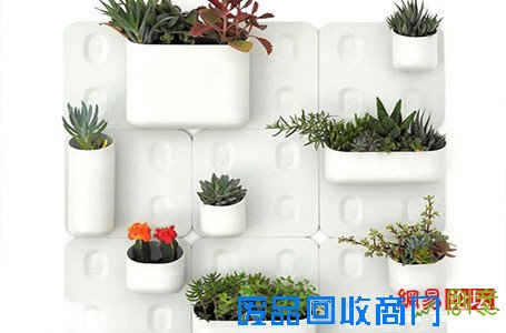 妙用盆栽摆出美居好风水