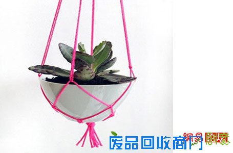 妙用盆栽摆出美居好风水