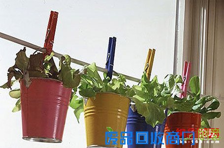 妙用盆栽摆出美居好风水