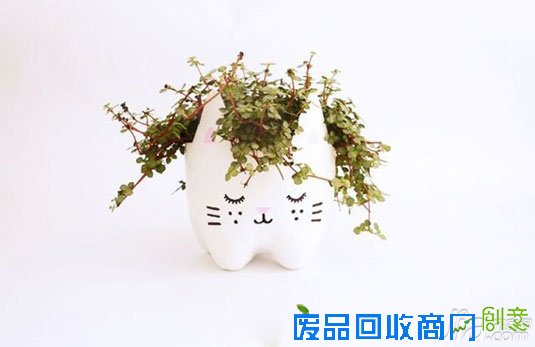 可乐瓶的超萌变身 趣味生动的动物小盆栽