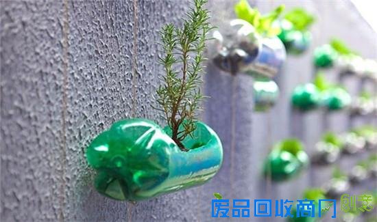 废弃塑料瓶为艺术使出了72变