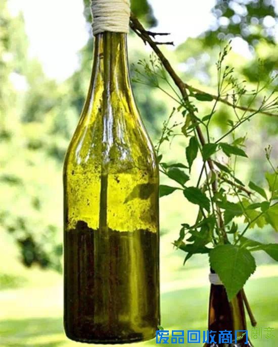 一个人在家可以DIY什么 利用废旧品打造创意小花园