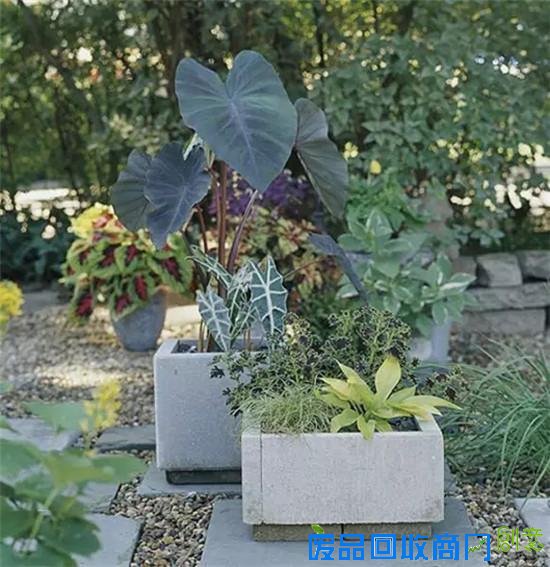 一个人在家可以DIY什么 利用废旧品打造创意小花园