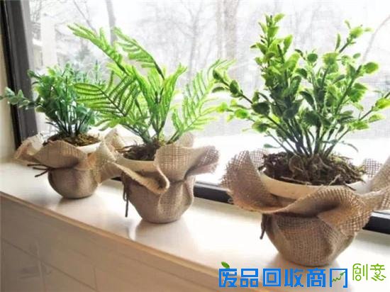 一个人在家可以DIY什么 利用废旧品打造创意小花园