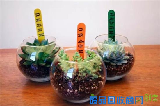 一个人在家可以DIY什么 利用废旧品打造创意小花园