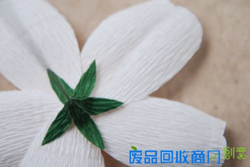 DIY专栏:纸艺野蔷薇 纸为你绽放