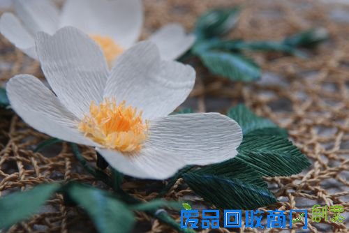 DIY专栏:纸艺野蔷薇 纸为你绽放