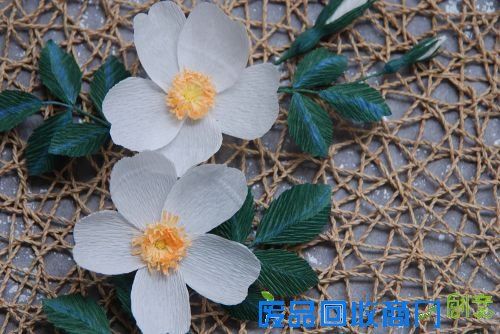 DIY专栏:纸艺野蔷薇 纸为你绽放