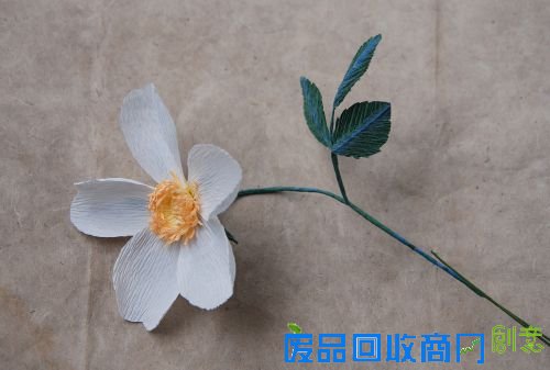 DIY专栏:纸艺野蔷薇 纸为你绽放