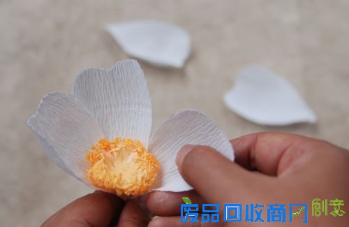 DIY专栏:纸艺野蔷薇 纸为你绽放