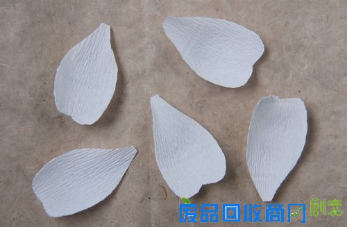 DIY专栏:纸艺野蔷薇 纸为你绽放