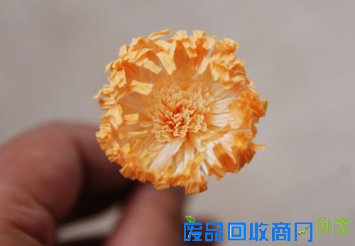 DIY专栏:纸艺野蔷薇 纸为你绽放