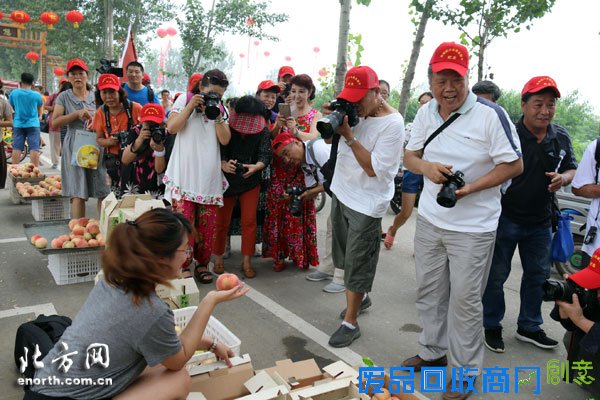 北方网网友赴八台港蟠桃宴 看8800元桃王诞生