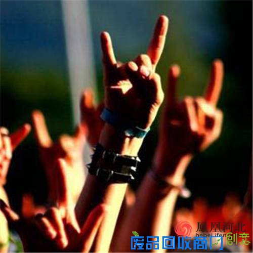 保定本土的世界级音乐节 大激店约不约?