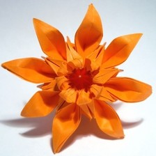 经典的手工折纸菊花制作教程，可以亲手来制作出一个手工折纸的菊花来，这样的感觉会很棒哦，因为整个制作过程也不简单，教程地址：