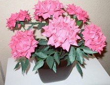 用手工折纸的方式来制作一个牡丹，绝对是你需要的制作方式，现在就来试试这个手工折纸的牡丹如何制作吧，教程地址：