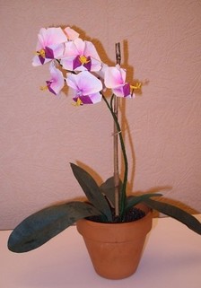 手工折纸蝴蝶兰教程，美丽的蝴蝶兰同样可以通过折纸的方式制作出来，漂亮的折纸蝴蝶兰等着你来尝试制作，教程地址：