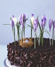 唯美优雅的纸艺雪花莲手工教程，也许你苦苦寻找的就是这个充满着自然之美的手工纸艺雪花莲，教程就在这里：