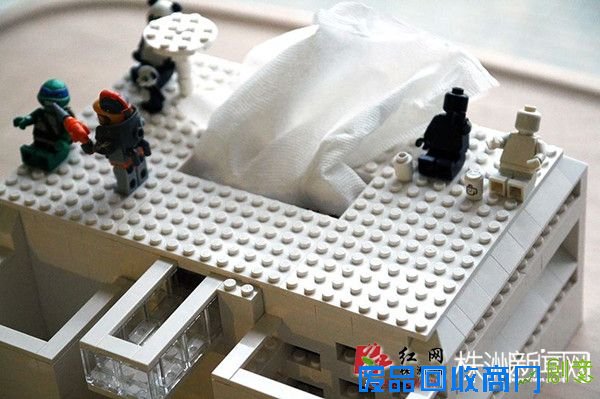 LEGO-tissue-house4