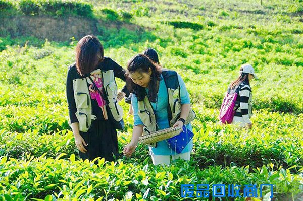 文艺青年都该知道的漫游贵阳方式