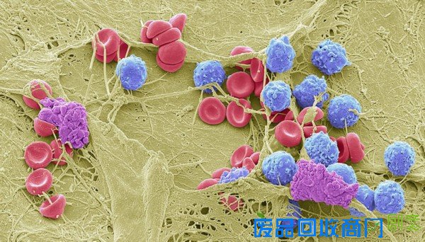 摄影师拍大自然迷人景色 美得窒息(组图)