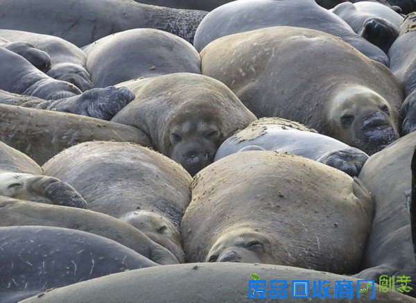 摄影师拍大自然迷人景色 美得窒息(组图)