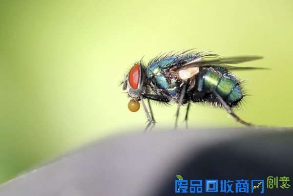 摄影师拍大自然迷人景色 美得窒息(组图)